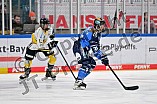 Eishockey, Frauen, DFEL, Saison 2023-2024, ERC Ingolstadt - Mad Dogs Mannheim, 18.02.2024