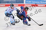 Eishockey, Herren, DEL, Saison 2022-2023, Gäuboden Cup, Nürnberg Ice Tigers - ERC Ingolstadt, 19.08.2022