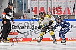 Eishockey, Frauen, DFEL, Saison 2021-2022, ERC Ingolstadt - Mad Dogs Mannheim, 24.10.2021