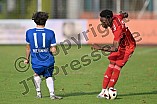 Fußball, Herren, Kreisliga 1, Saison 2024-2025, Spieltag 3, SV Eitensheim - SV Menning, 16.08.2024