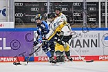 Eishockey, Frauen, DFEL, Saison 2023-2024, ERC Ingolstadt - Mad Dogs Mannheim, 18.02.2024