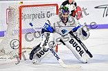 Thomas Sabo Ice Tigers vs ERC Ingolstadt, Eishockey, DEL, Deutsche Eishockey Liga, Spieltag 43, 27.01.2019