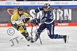 Eishockey, Frauen, DFEL, Saison 2021-2022, ERC Ingolstadt - Mad Dogs Mannheim, 24.10.2021