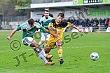 24.10.2015 - VfB Eichstätt - ASV Burglengenfeld