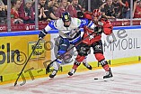 Koelner Haie vs ERC Ingolstadt, DEL, Deutsche Eishockey Liga, Playoffs, Viertelfinale, Spiel 7, 31.03.2019