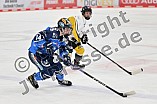 Eishockey, Frauen, DFEL, Saison 2023-2024, ERC Ingolstadt - Mad Dogs Mannheim, 18.02.2024