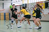 Handball, Bezirksklasse Frauen Staffel Nord West, Saison 2024-2025, DJK Eichstätt - HF Scheyern II, 19.10.2024
