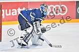 ERC Ingolstadt vs Adler Mannheim, Eishockey, DEL, Deutsche Eishockey Liga, Spieltag 46, 10.02.2017