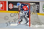 22.08.2015 - ERC Ingolstadt - Braehead Clan