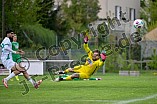 Fußball, Herren, Bayernliga Nord, Saison 2024-2025, Spieltag 31, VfB Eichstätt - TSV Neudrossenfeld, 26.04.2025