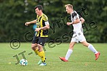 01.09.2018 - DJK Pollnfeld - TSV Röttenbach