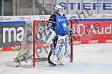 Eishockey, Frauen, DFEL, Saison 2023-2024, ERC Ingolstadt - Mad Dogs Mannheim, 18.02.2024