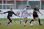 Fußball, Herren, Bayernliga Nord, Saison 2025-2026, Spieltag 5, FC Ingolstadt 04 II - FSV Stadeln, 17.09.2025