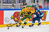 Hockey, Mens, CHL, Season 2025-2026, Regular Season, Game Day 1, ERC Ingolstadt - Ilves Tampere, 28.08.2025