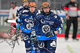 Eishockey, Frauen, DFEL, Saison 2024-2025, ERC Ingolstadt - EC Bergkamener Bären, 05.01.2025