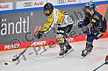 Eishockey, Frauen, DFEL, Saison 2022-2023, ERC Ingolstadt - Mad Dogs Mannheim, 20.11.2022