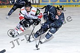 ERC Ingolstadt vs Koelner Haie, Eishockey, DEL, Deutsche Eishockey Liga, 01.11.2015