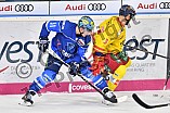 ERC Ingolstadt vs Duesseldorfer EG, Eishockey, DEL, Deutsche Eishockey Liga, Spieltag 22, 19.11.2017