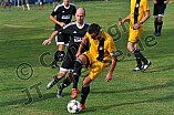 03.09.2016 - DJK Pollenfeld - TSV Meckenhausen