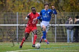Fußball, Herren, Kreisliga Neumarkt Jura West, Saison 2025-2026, Spieltag 15, SV Marienstein - SC Großschwarzenlohe U23, 08.11.2025