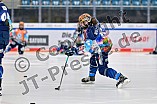 Eishockey, Frauen, DFEL, Saison 2024-2025, ERC Ingolstadt - Mad Dogs Mannheim, 23.11.2024
