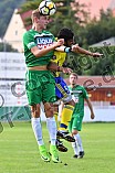 17.08.2017 - VfB Eichstätt - Al Dhafra FC