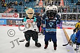 Eishockey, Herren, DEL, Saison 2022-2023, ERC Ingolstadt - Kids On Ice Day, 19.11.2022