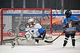 Eishockey, Herren, DEL, Saison 2024-2025, ERC Ingolstadt - Kids On Ice Day, 11.01.2025