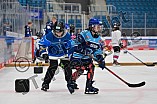 Eishockey, Herren, DEL, Saison 2024-2025, ERC Ingolstadt - Kids On Ice Day, 21.09.2024