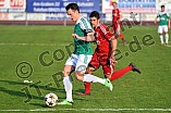 08.04.2015 - VfB Eichstätt - TSV 1860 Rosenheim