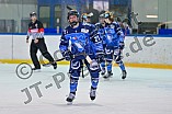 Eishockey, Frauen, DFEL, Saison 2023-2024, ERC Ingolstadt - ECDC Memmingen Indians, 21.01.2024