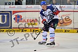 17.04.2015 - ERC Ingolstadt - Adler Mannheim