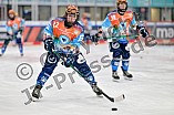 Eishockey, Frauen, DFEL, Saison 2024-2025, ERC Ingolstadt - Mad Dogs Mannheim, 23.11.2024