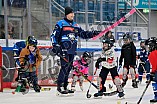 Eishockey, Saison 2025-2026, ERC Ingolstadt - Kids On Ice Day, 10.01.2026