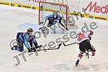31.01.2014 - ERC Ingolstadt - Kölner Haie