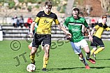 25.03.2017 - VfB Eichstätt - VfL Frohnlach