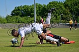 Fußball, Herren, Bayernliga Nord, Saison 2024-2025, Spieltag 33, FC Ingolstadt 04 II - SpVgg Bayern Hof, 10.05.2025