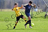 01.04.2017 - DJK Pollenfeld - SV Marienstein