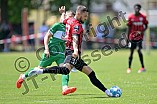 Fußball, Herren, Vorbereitung, Saison 2022-2023, FC Ingolstadt 04 - VfB Eichstätt, 18.06.2022