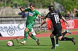 Fußball, Herren, Bayernliga Nord, Saison 2023-2024, Spieltag 13, VfB Eichstätt - SV Fortuna Regensburg, 23.09.2023