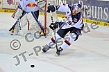 25.01.2015 - ERC Ingolstadt - EHC Red Bull München
