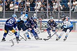 Eishockey, Herren, DEL, Saison 2024-2025, Vorbereitung, ERC Ingolstadt - Dresdner Eislöwen, 18.08.2024