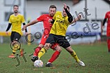 Fußball, Herren, Kreisklasse Neumarkt Jura Süd, Saison 2023-2024, Spieltag 14, DJK Pollenfeld - SG Thalmässing-Eysölden, 12.11.2023