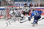 Eishockey, Frauen, DFEL, Saison 2023-2024, ERC Ingolstadt - Amsterdam Tigers, 06.01.2024