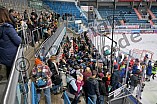 Eishockey, Herren, DEL, Saison 2022-2023, ERC Ingolstadt - Kids On Ice Day, 19.11.2022