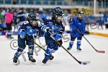 Eishockey, Saison 2025-2026, ERC Ingolstadt - Kids On Ice Day, 29.11.2025