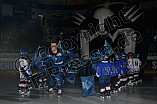 ERC Ingolstadt vs Straubing Tigers, Eishockey, DEL, Deutsche Eishockey Liga, 22.12.2015