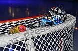ERC Ingolstadt vs Hamburg Freezers, Eishockey, DEL, Deutsche Eishockey Liga, 10.01.2016