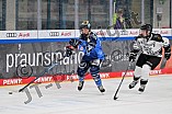 Eishockey, Frauen, DFEL, Saison 2023-2024, ERC Ingolstadt - Amsterdam Tigers, 06.01.2024