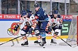Eishockey, Mens, CHL, Season 2023-2024, ERC Ingolstadt - Växjö Lakers, 14.11.2023